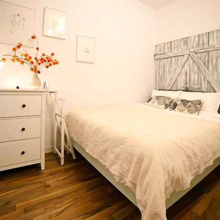 Jasmine Serenity Apartment - Central, Behind Black Church Braşov Exteriör bild